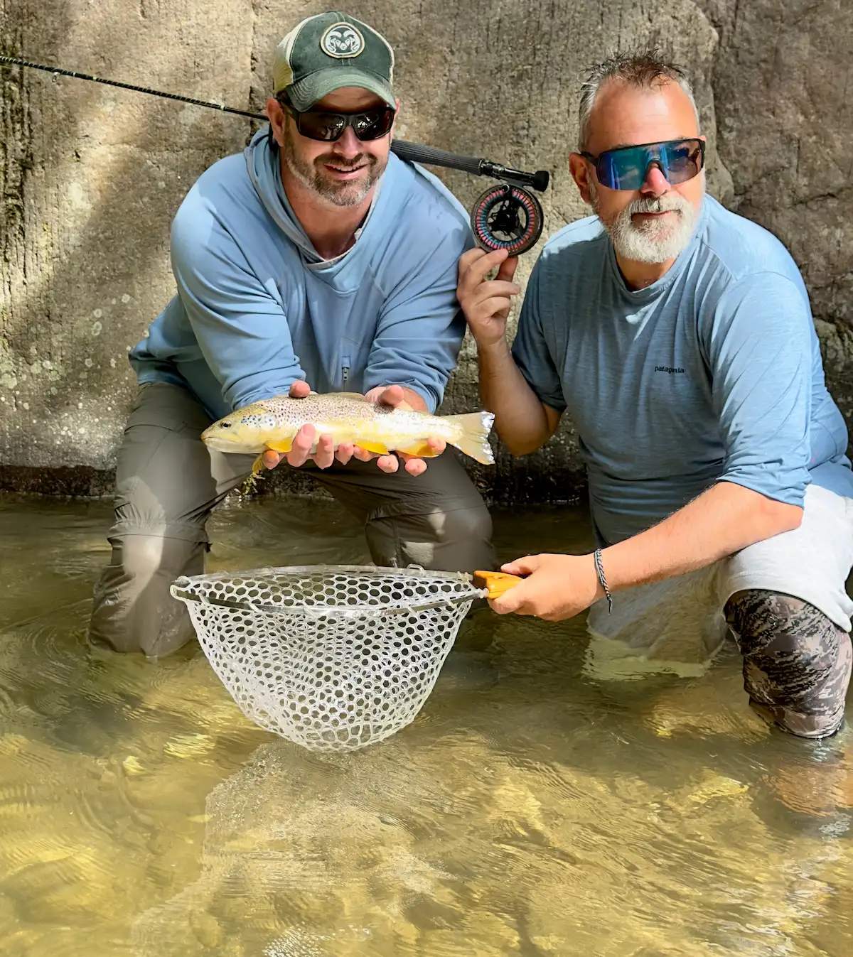 Central European Brown Trout: What You Need to Know